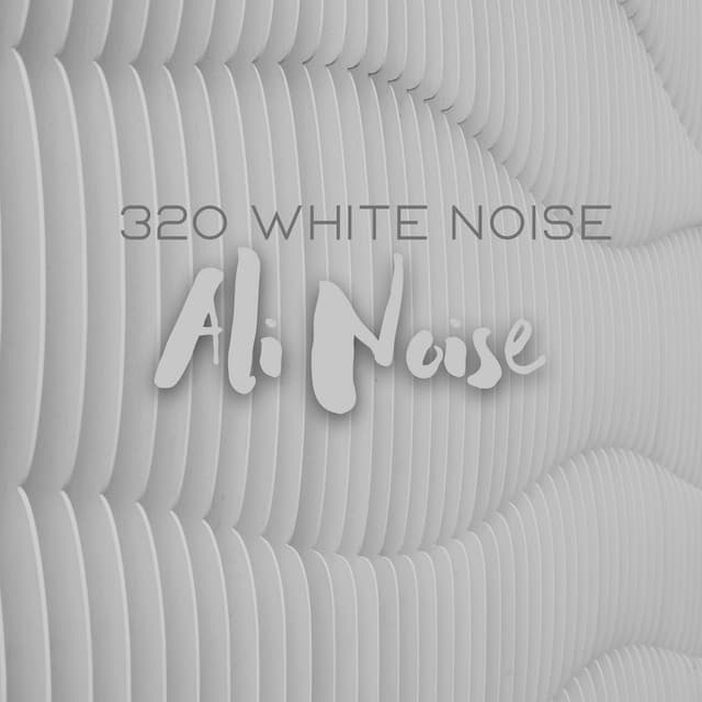 320 White Noise - Ali Noise