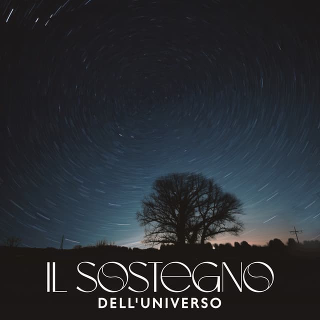 Il sostegno dell'universo: Sentire la guida verso la pace mentale - Meditazione guidata universo