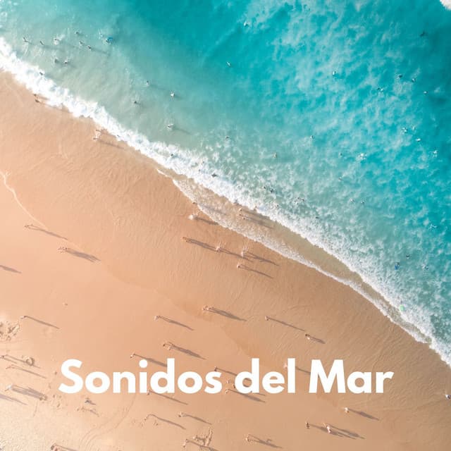 Sonidos Del Mar - Olas del Mar