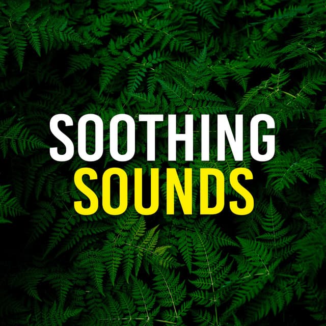 Soothing Sounds - Jungle Sounds