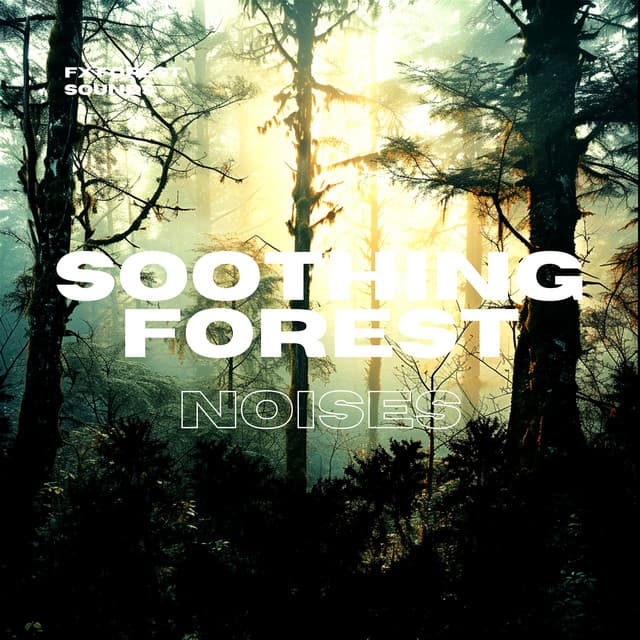 Soothing Forest Noises - FX Forest Sounds