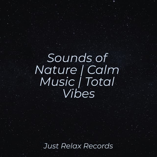 Sounds of Nature | Calm Music | Total Vibes - Relajacion Del Mar