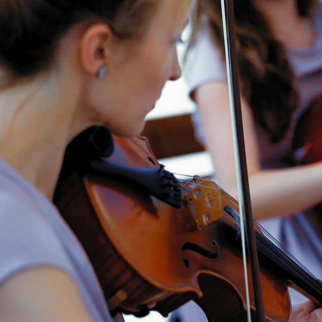 Serene Sounds: Orchestra for Pets - Jason Humphries