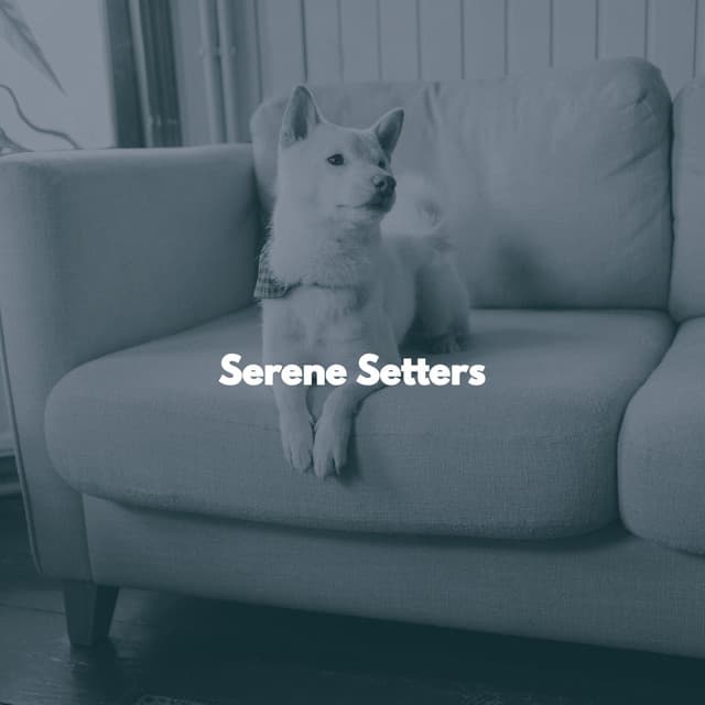 Serene Setters - New Orleans Jazz Band