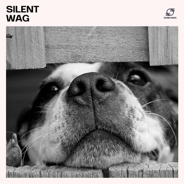 Silent Wag: Calming Dog Music - Dog Sleep Dreams