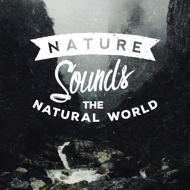 Nature Sounds: The Natural World - Ambiance nature