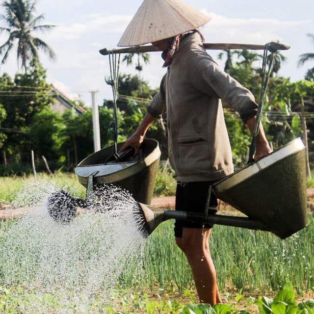Water Work Retreat: A Bird Song Serenade and Chill Soundscape - Animal and Bird Songs
