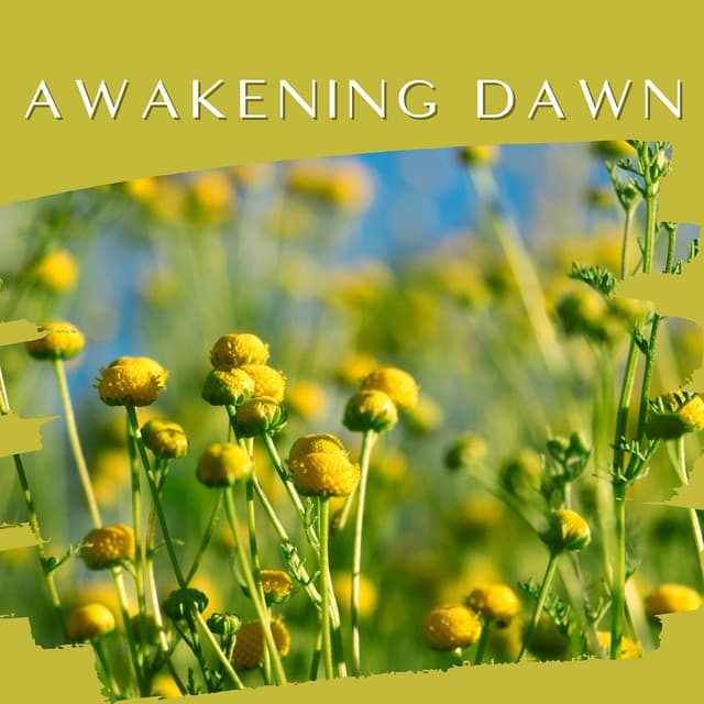 Awakening Dawn - Tranquility Oasis