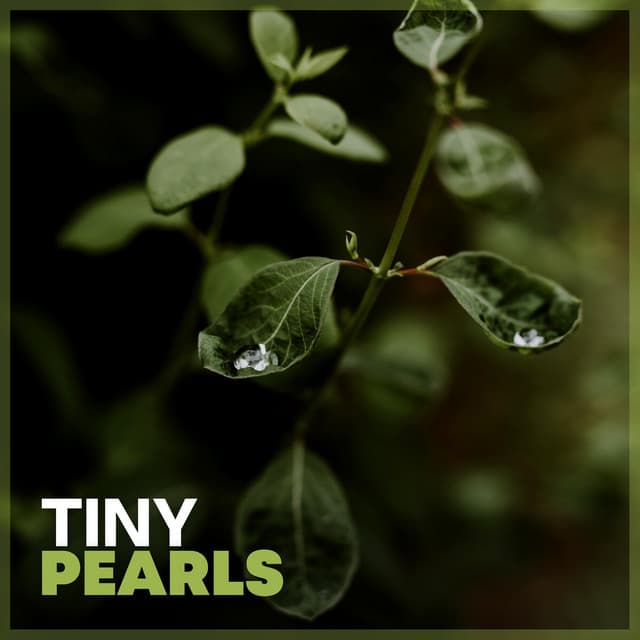 Tiny Pearls - Rain and Chill