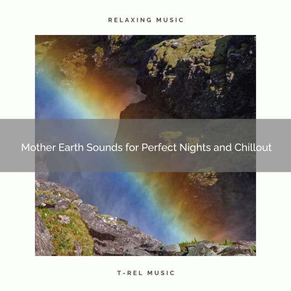 Mother Earth Sounds for Perfect Nights and Chillout - Forest Sounds For Relaxation