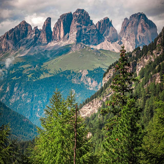 0 Hour Visions: Forcoming Positivity - between waves