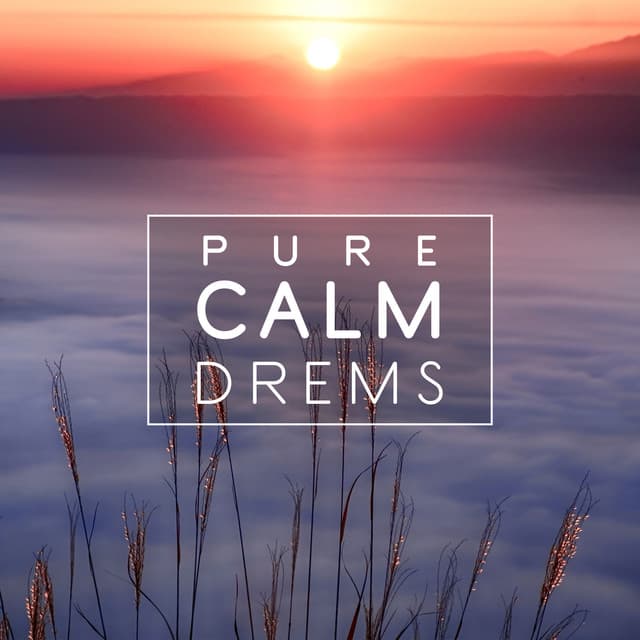 Pure Calm Drems – True Sleep Collection. Deep Rest Therapy Sounds, Sleep Better, Nature New Age - Deep Sleep