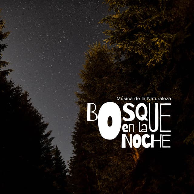 bosque en la noche - Música de la Naturaleza