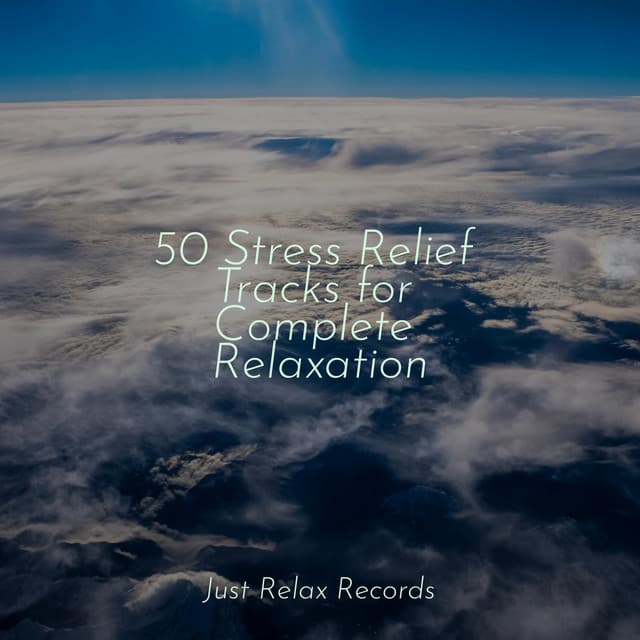 50 Stress Relief Tracks for Complete Relaxation - Musica romantica instrumental