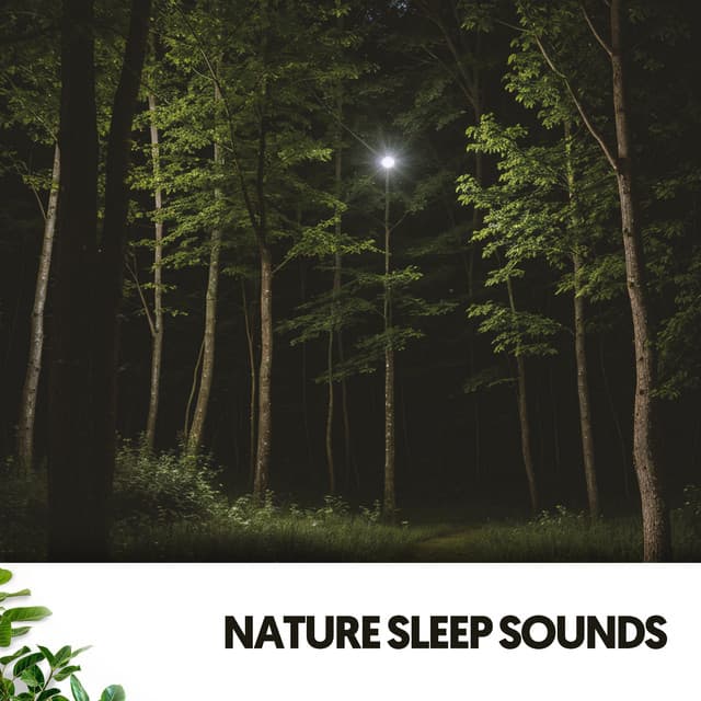 Nature Sleep Sounds: Enchanting Lullabies from Mother Earth - Ruido Blanco Hart
