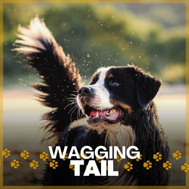 Wagging Tail - Calming for Dogs