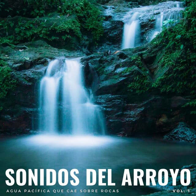 Sonidos Del Arroyo: Agua Pacífica Que Cae Sobre Rocas Vol. 1 - Aguas Pura