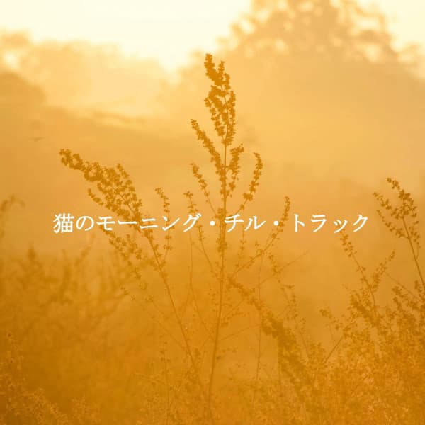 Easy Listening Guitars Radio