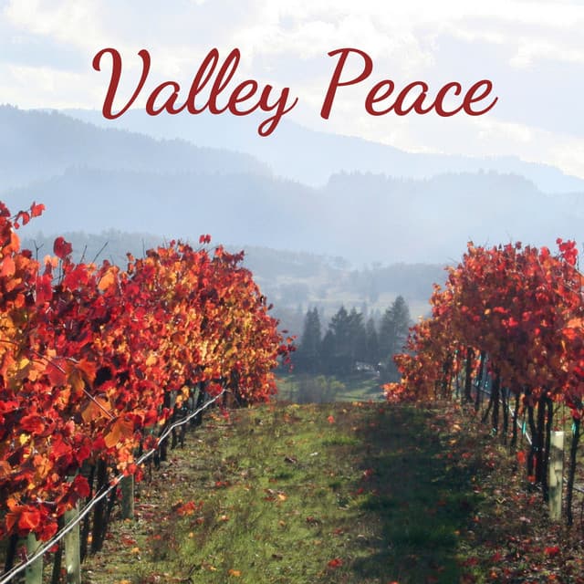 Valley Peace - Tranquility Spree