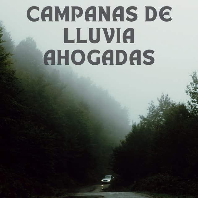 Campanas De Lluvia Ahogadas - HD lluvia y agua