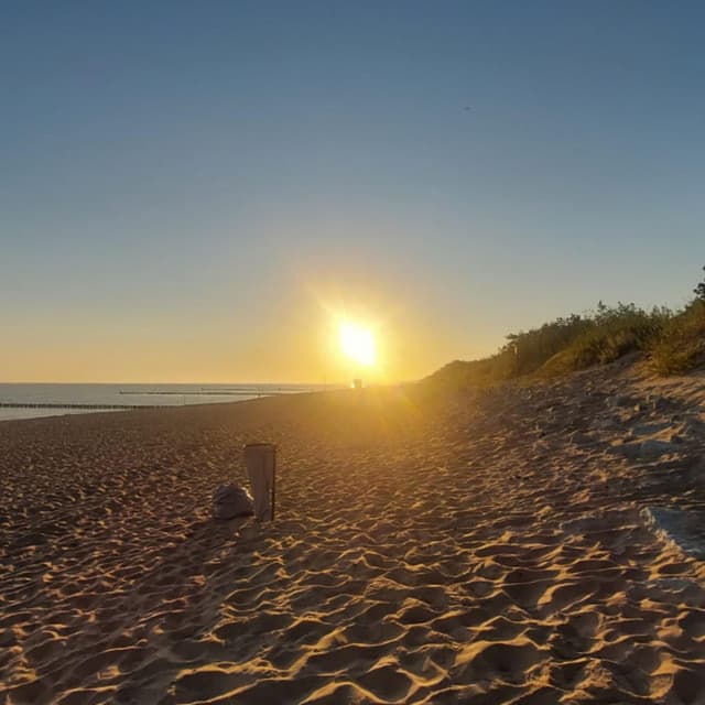 Cozy Jazz Shop - Cozy Coffee Shop