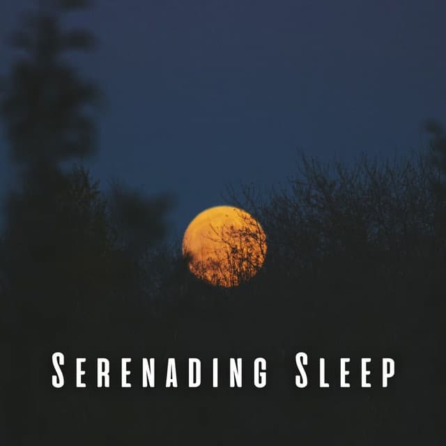 Serenading Sleep: Lofi Chill Music for Nighttime Bliss - Lofi Night Drives