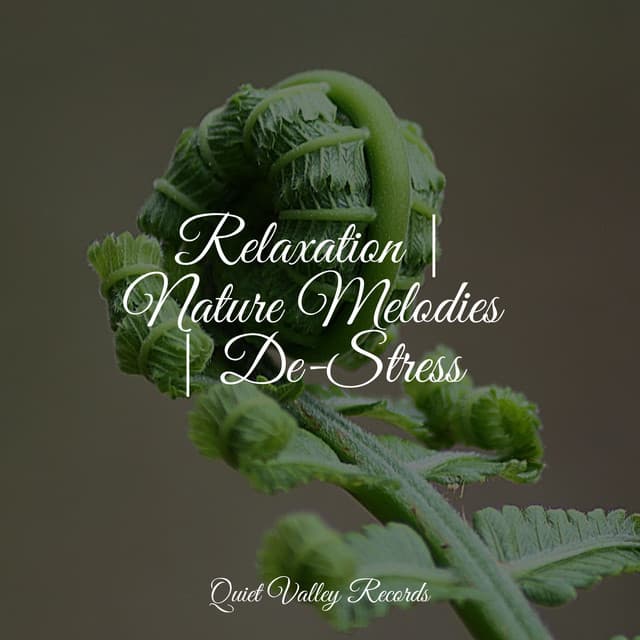Relaxation | Nature Melodies | De-Stress - Relaxation
