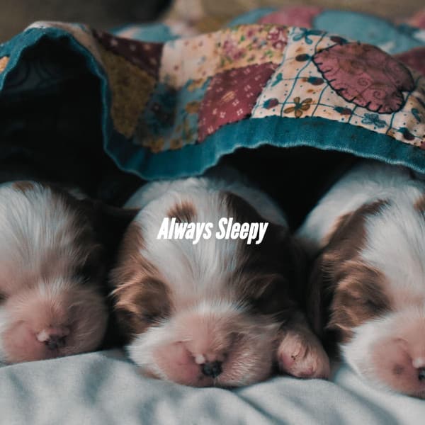 Always Sleepy - Deluxe Elevator Music