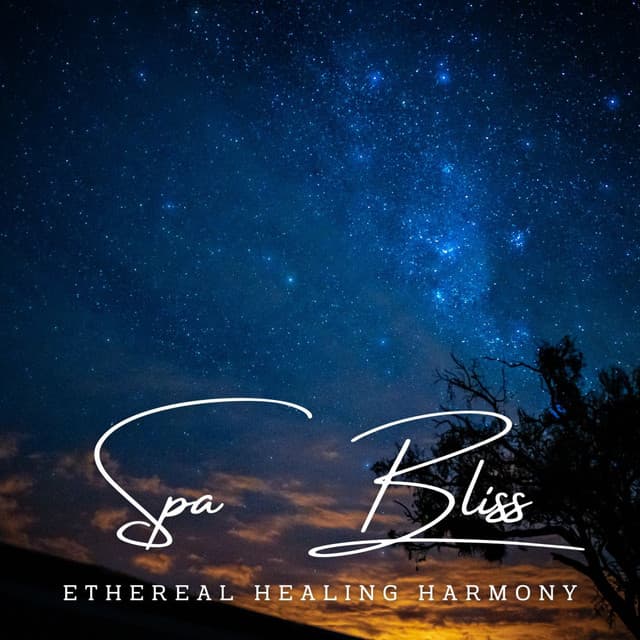 Harmonious Sanctuary: Meditative Melodies for Spa Bliss - Blissfulness