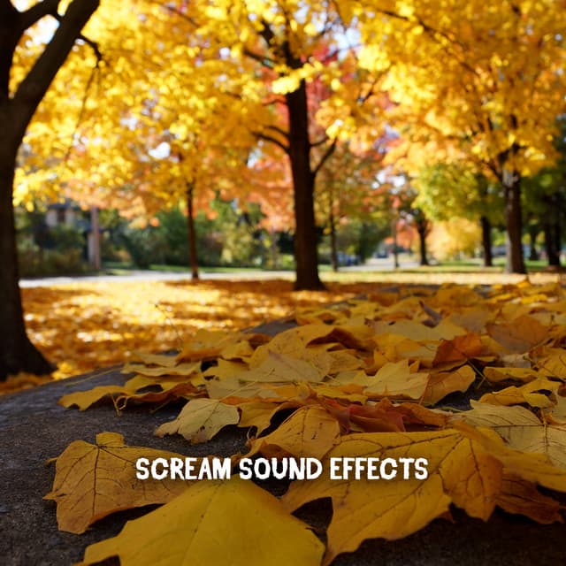 Scream Sound Effects - Spooky Halloween Sounds