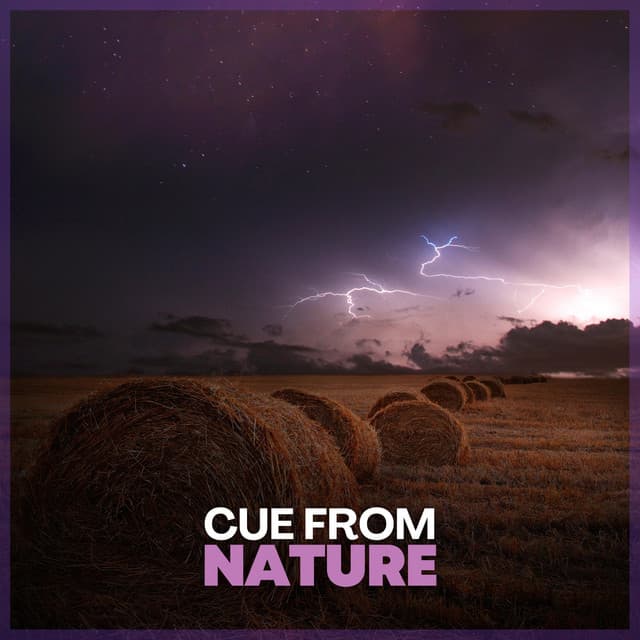 Cue from Nature - Stormy Station