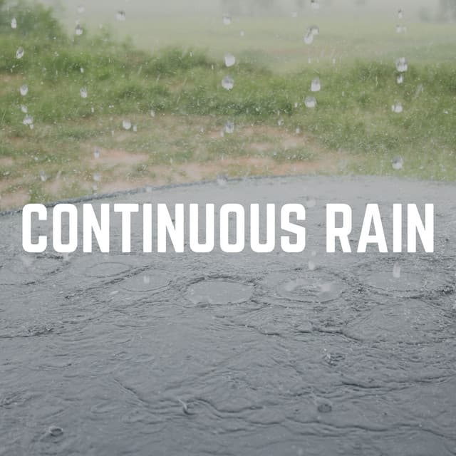 Continuous Rain - Recording Nature