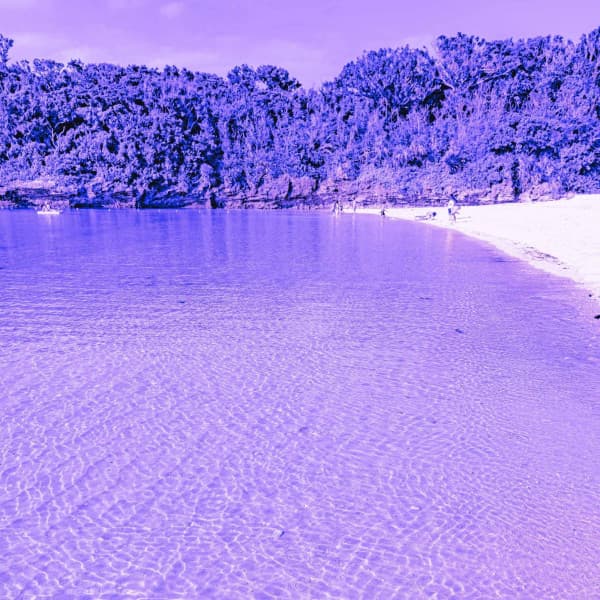 Superlative Ambiance for Calming Chaos - Lo-Fi