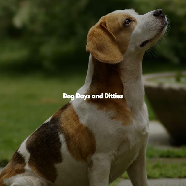 Dog Days and Ditties - Música de la Oficina