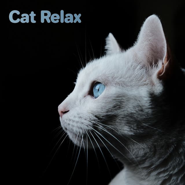 Cat Relax - Music For Cats