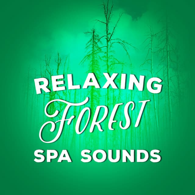 Relaxing Forest Spa Sounds - Ambient Nature Sounds