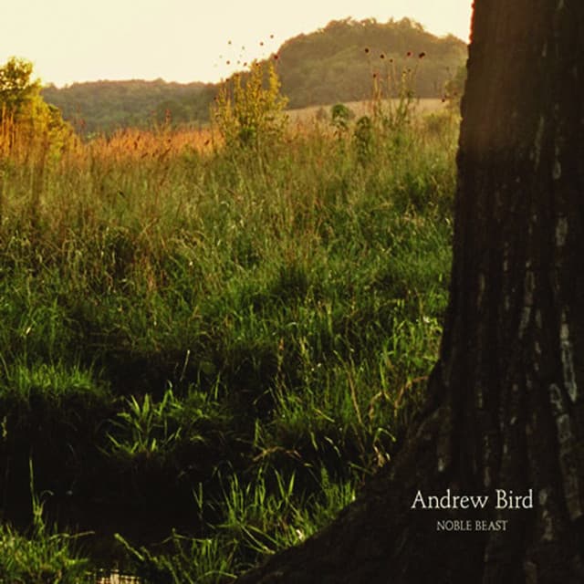 Noble Beast - Andrew Bird