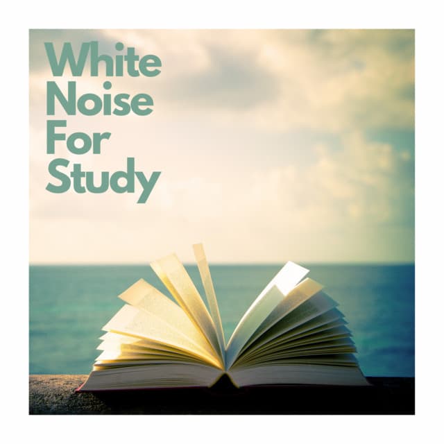 White Noise For Study - Dream Supplier