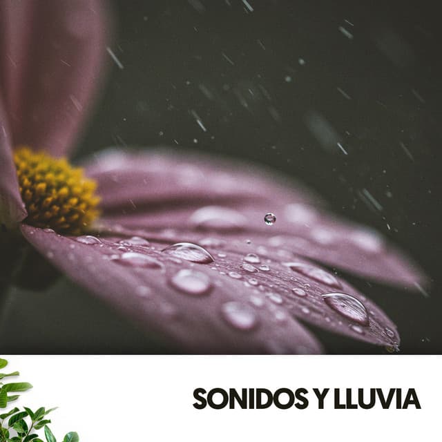 Sonidos y Lluvia: Melodías de la naturaleza - Dog Relaxation
