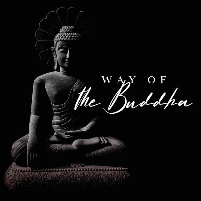 Voie du Bouddha: Coexistence Esprit et Corps, Méditation Zen Profonde, Techniques de Respiration - Sanctuaire de méditation bouddhiste