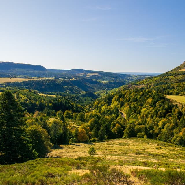 Soothing Music | Yoga Music - The Sleep Helpers