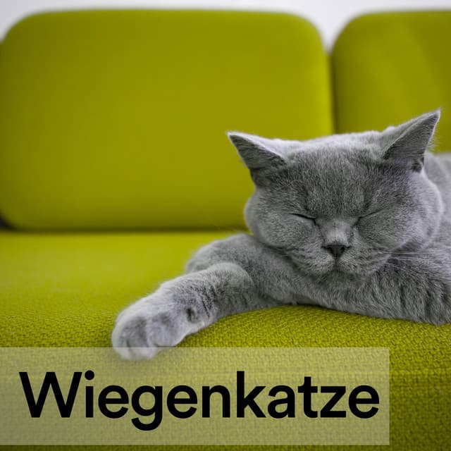 Wiegenkatze - Katzenmusik