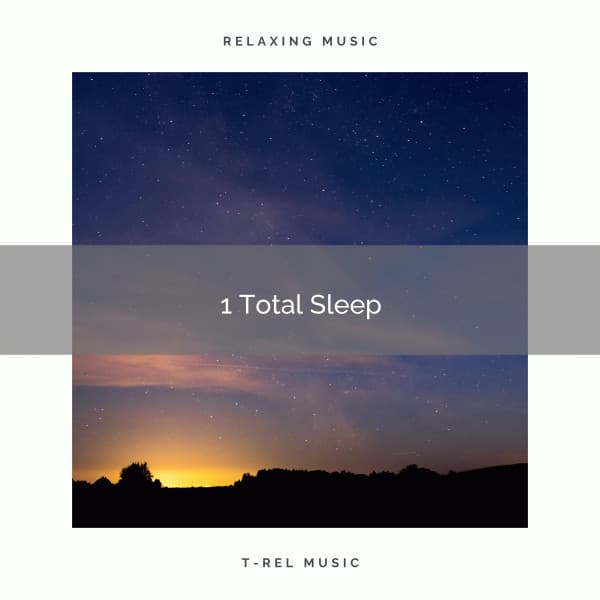 1 Total Sleep - Sleep Repeat