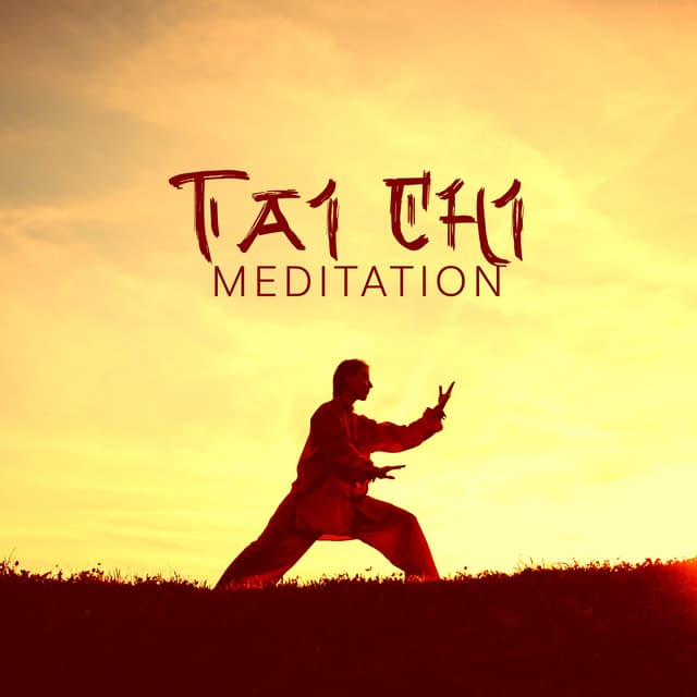 Tai Chi Introspection - Jani Pay