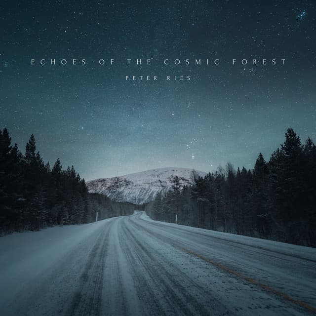 Echoes of the Cosmic Forest - Peter Ries