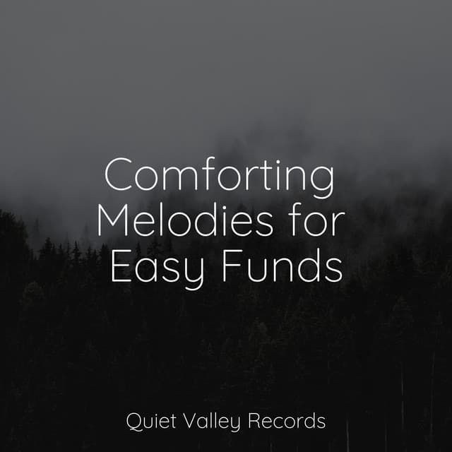 Comforting Melodies for Easy Funds - Lush Rain Creators