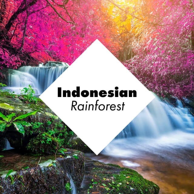 Indonesian Rainforest – Selected Flora and Fauna Sounds for Deep Relaxation, Water, Animals, Rain, Instrumental, Asian Zen, Ambient Nature - Rainforest