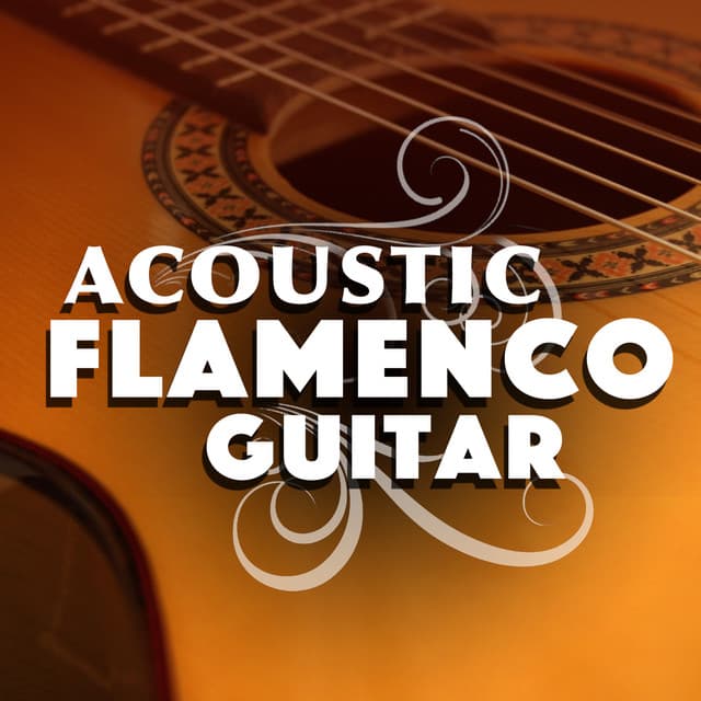 Acoustic Flamenco Guitar - The Acoustic Guitar Troubadours
