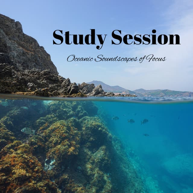 Study Session: Oceanic Soundscapes of Focus - Ocean Waves