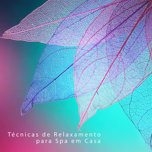 Técnicas de Relaxamento para Spa em Casa: Oásis Tranquilo para Massagem e Banho - Natureza Musica Bem-Estar Academia